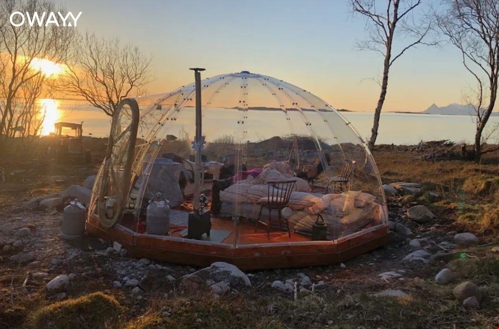 campanyon.com campanyon.com